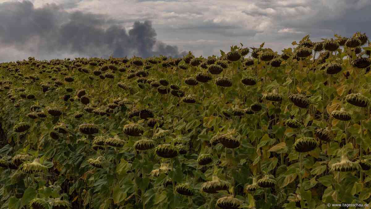 Ukrainische Wirtschaft durch Krieg unter Druck