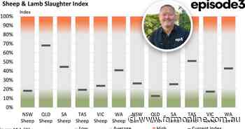 Slaughter index shows mixed throughput as spring flush fails to fire