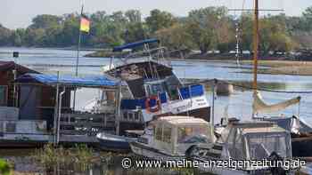 Negative Pegelwerte - Rekordniedrigwasser des Rheins