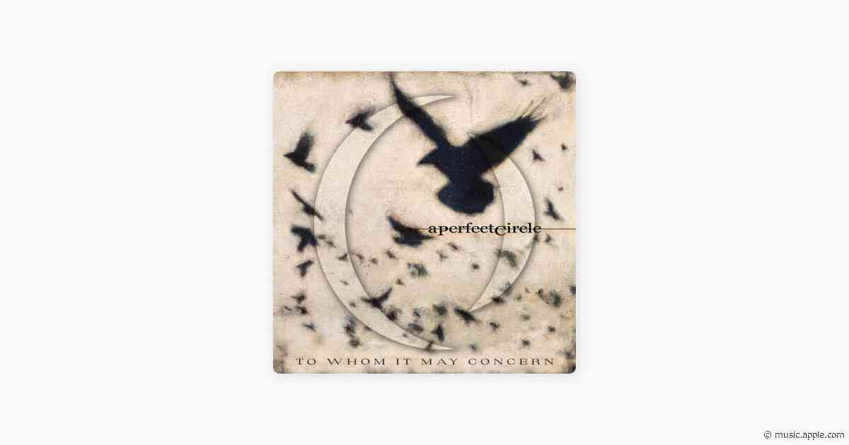To Whom It May Concern - A Perfect Circle