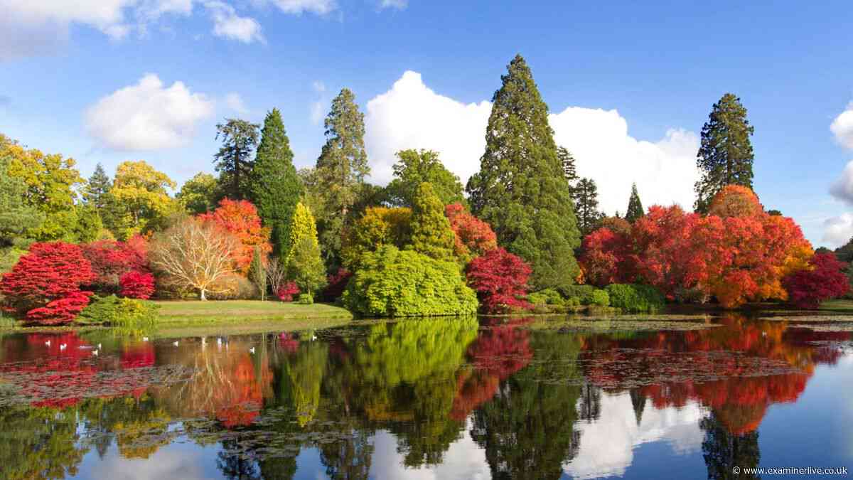 Yorkshire garden with rare red squirrels named one of UK's best for autumn colours