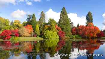 Yorkshire garden with rare red squirrels named one of UK's best for autumn colours