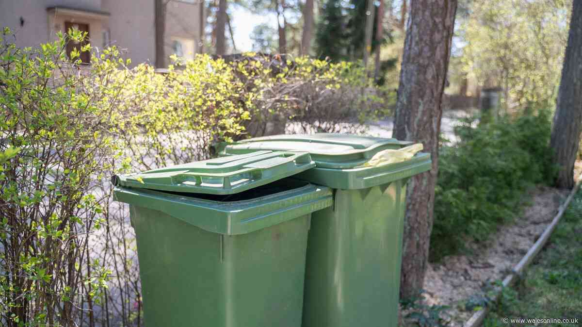 Recycling won't be collected if residents leave bins in 1 area of their property