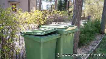 Recycling won't be collected if residents leave bins in 1 area of their property