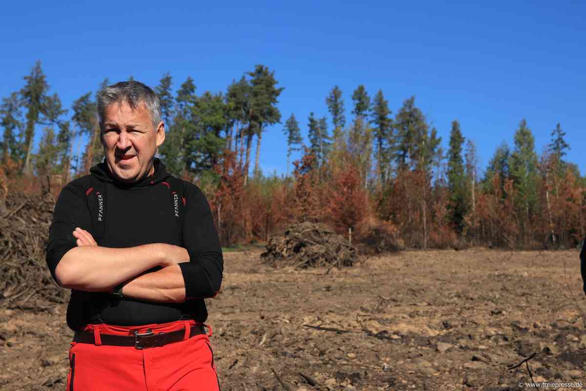 Vernichtendes Feuer im „Schwarzen Holz“: Braucht das Vogtland eine Spezialeinheit für Waldbrände?