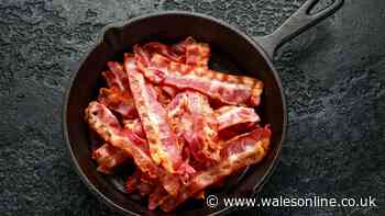 Ditch oil for simpler ingredient in the pan for the crispiest bacon — no mess