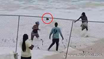 Wild moment 60-year-old woman is rescued from rough Bahamas surf after getting trapped by fence