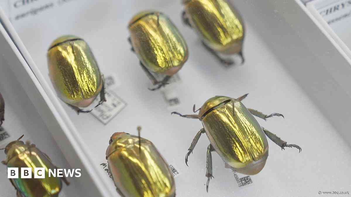How AI is creating a UK super-museum and revealing our planet's history