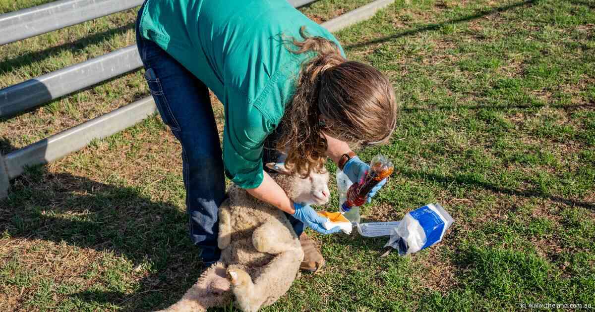 Rural vets, farmers to benefit: telehealth legislated for phone-to-field care