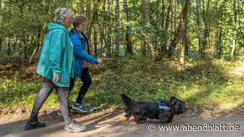 Hunde-Spaß beim Mantrailing: Wenn Spürnasen sich in Boberg auf die Socken machen