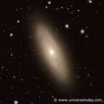Supermassive Black Holes May Enhance Star Formation