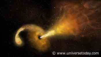 When It Comes To Burping Jets, Supermassive Black Holes and Stellar-Mass Black Holes Have The Same Table Manners