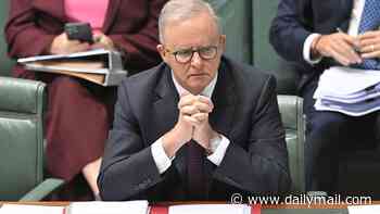 Albanese under fresh pressure over $6million grant for his golf club as new details emerge