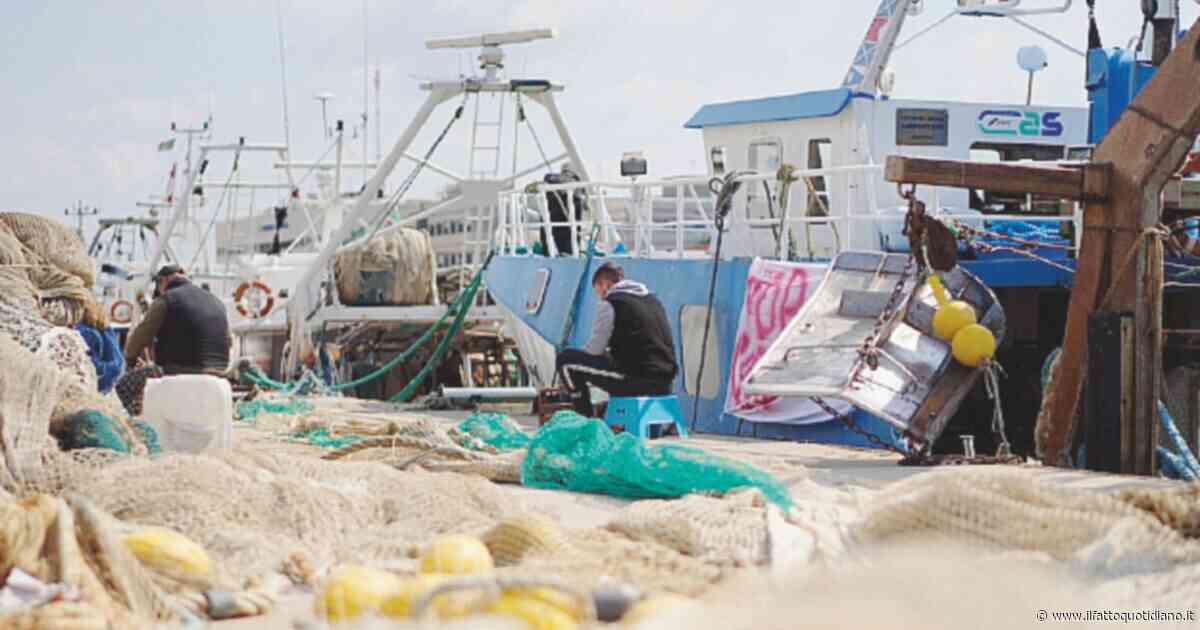 Una spigola a Palermo da venti euro e una domanda a Meloni sull’energia