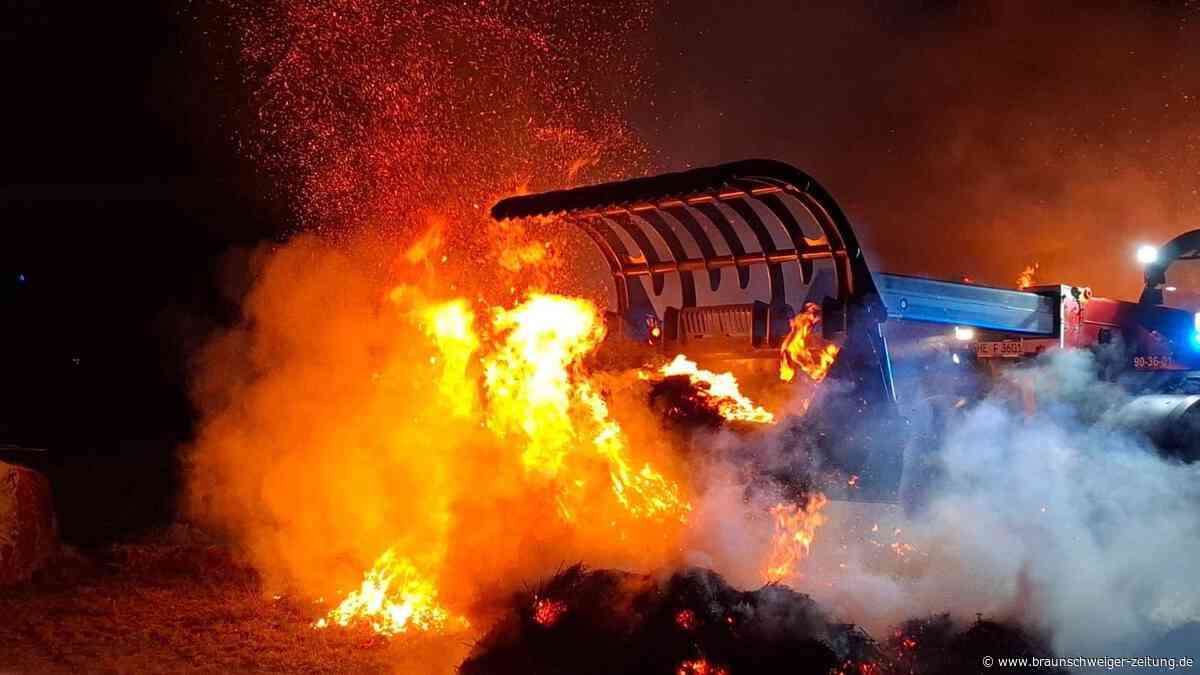 Feuer auf Feld bei Ochsendorf – 110 Einsatzkräfte verhindern Übergreifen auf Wald