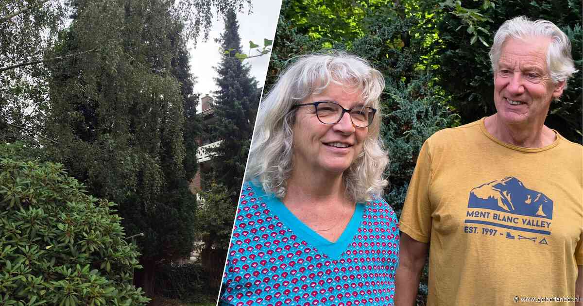 Verhuurder komt de bomen van overleden bewoner kappen, maar dan vliegen Renée en haar buren de straat op