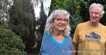 Verhuurder komt de bomen van overleden bewoner kappen, maar dan vliegen Renée en haar buren de straat op