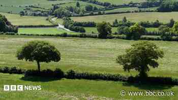 Former farmland to be restored to boost wildlife