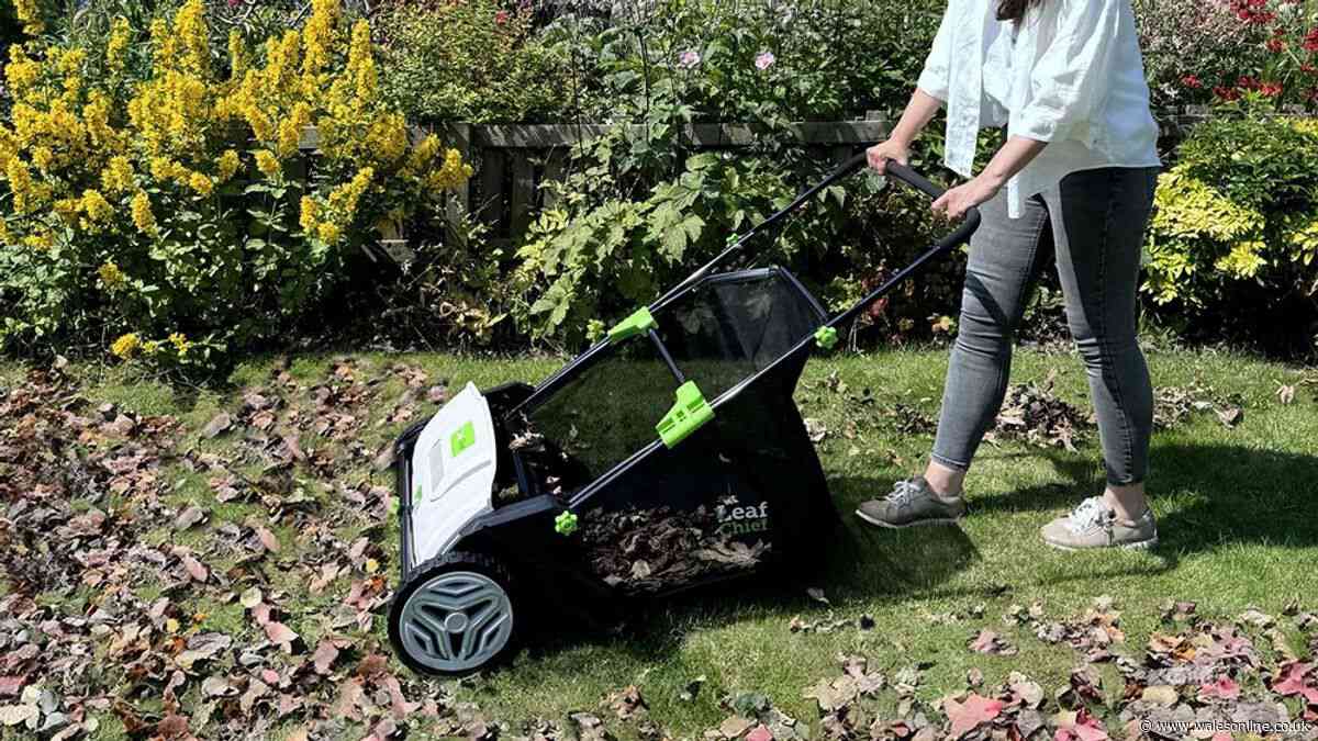 Gardeners have hours left to snap up double discount on genius autumn gadget