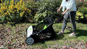 Gardeners have hours left to snap up double discount on genius autumn gadget