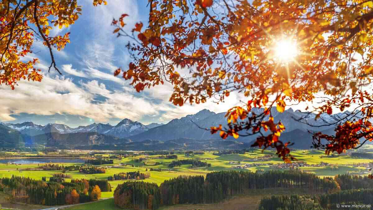 Berühmte Bauernregel wagt jetzt eine große Vorhersage – darauf ist zu achten
