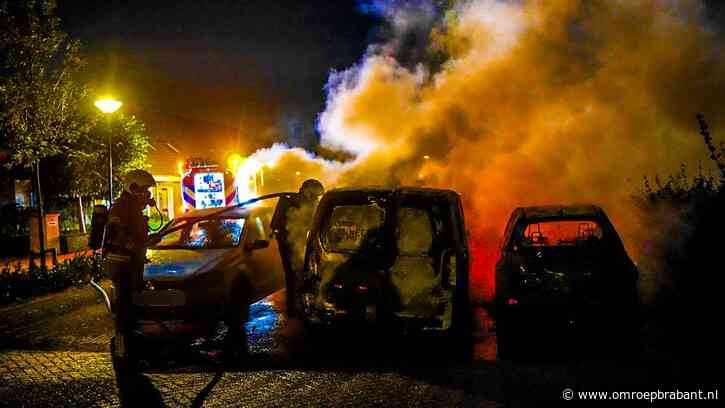 Drie auto's verwoest door brand, buurtbewoners redden andere auto's