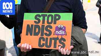 Billions slashed from NDIS packages as reassessments lead to more cuts