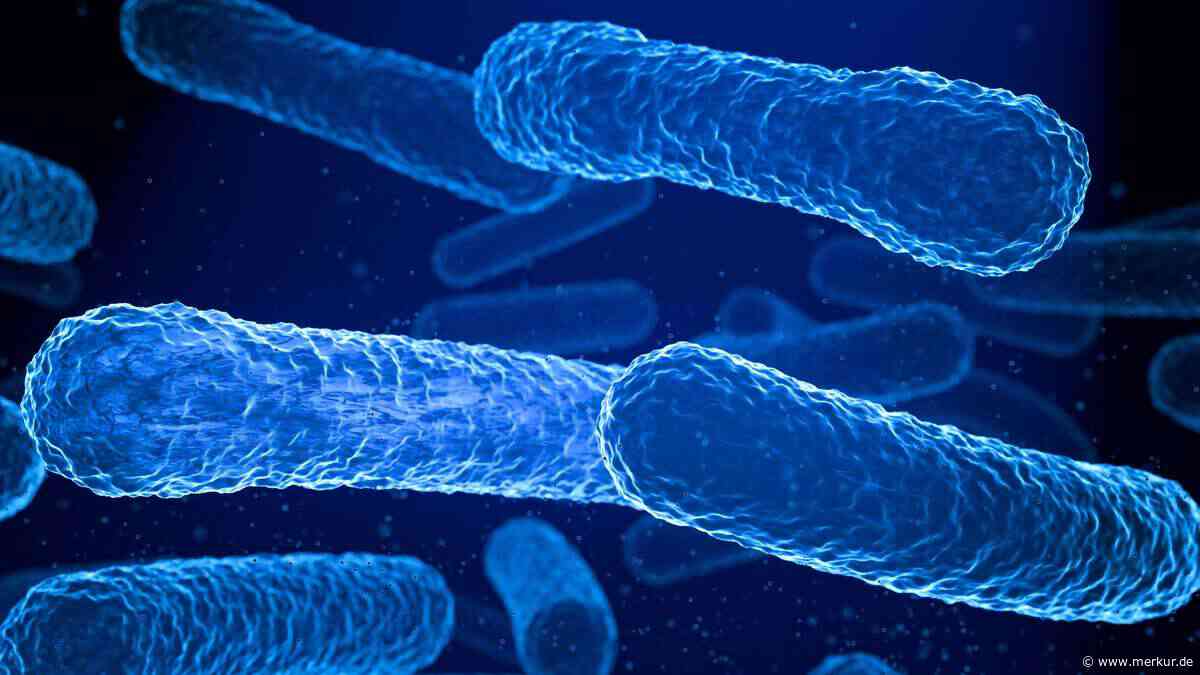 2,3 Millionen Krebsfälle durch Infektionen: Diese Erreger sind laut Studie die größten Risiken