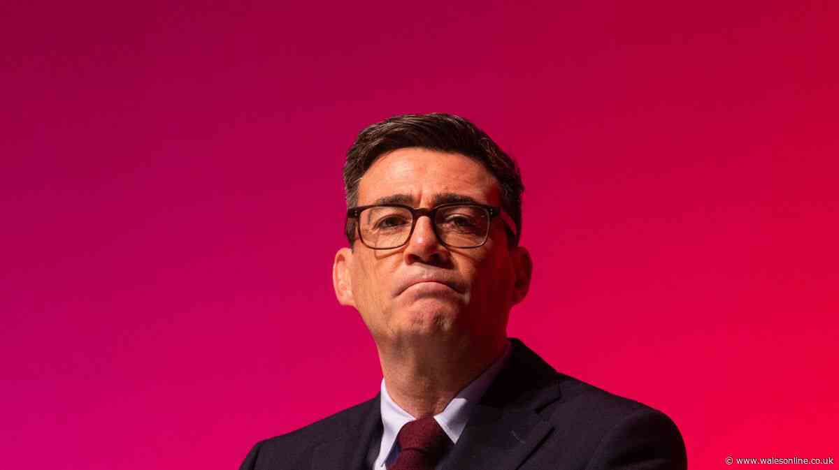 Andy Burnham says he could 'go all the way' and propose reversing Brexit