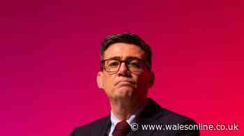 Andy Burnham says he could 'go all the way' and propose reversing Brexit
