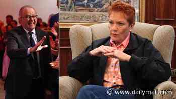 Pauline Hanson reveals theory Albanese is plotting to derail One Nation if it wins the next election in Daily Mail YouTube interview