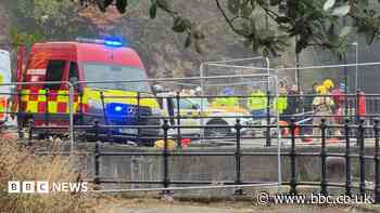 Three teenagers die after car enters river