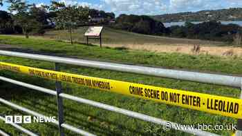 Body of newborn baby found on shoreline in Wales as police search for mother