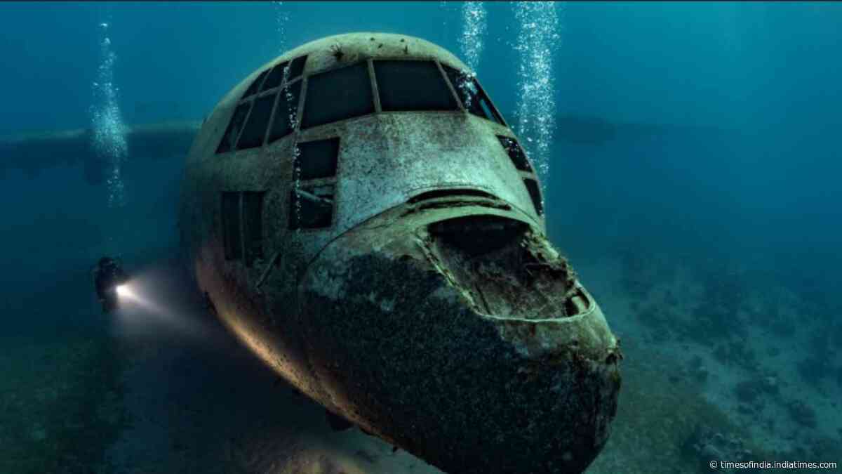 Jordan sank a retired military plane underwater in 2017; it now hosts fish, coral and marine life