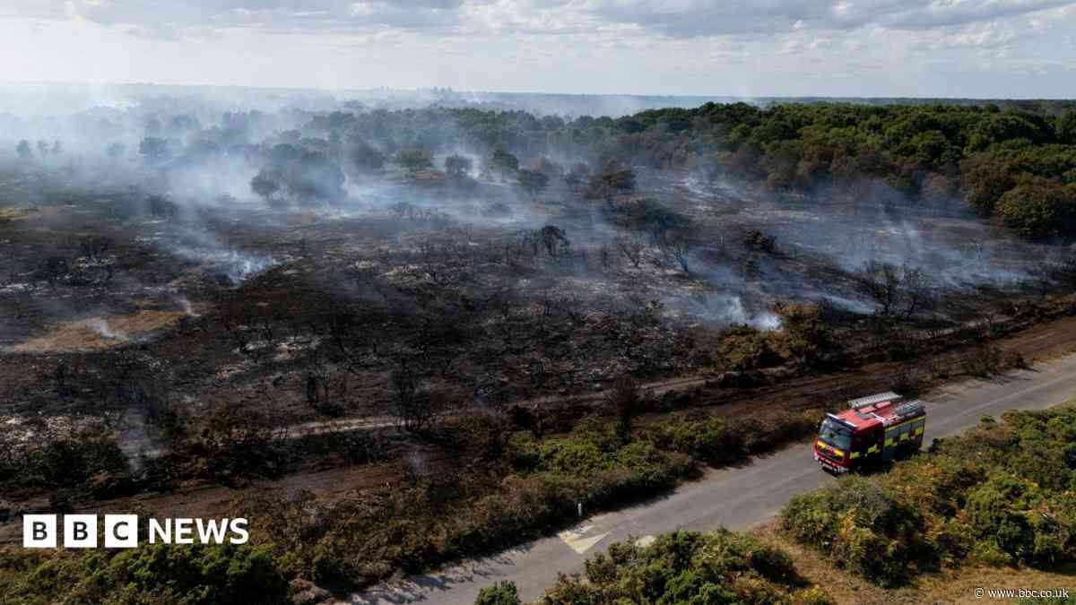 Warning 'lives will be lost' unless more is done to tackle wildfires