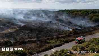 Warning 'lives will be lost' unless more is done to tackle wildfires