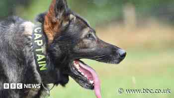 Award for police dog who had to retire through injury