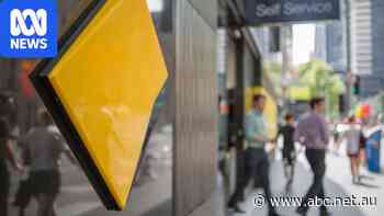 Big banks begin passing on rate rises to customers after RBA decision — as it happened