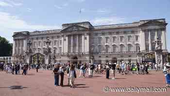 Buckingham Palace staff are given alcohol awareness course after 'drunk' housemaid was arrested