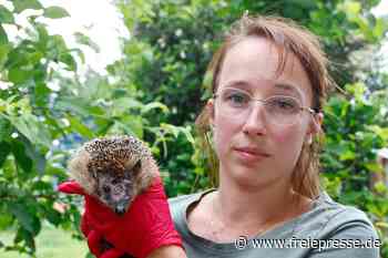 Zwickauer Igelretter für Deutschen Tierschutzpreis nominiert