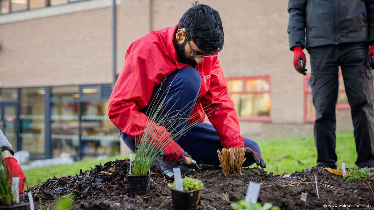 AD FEATURE: Free garden packages helping Welsh communities reconnect with nature