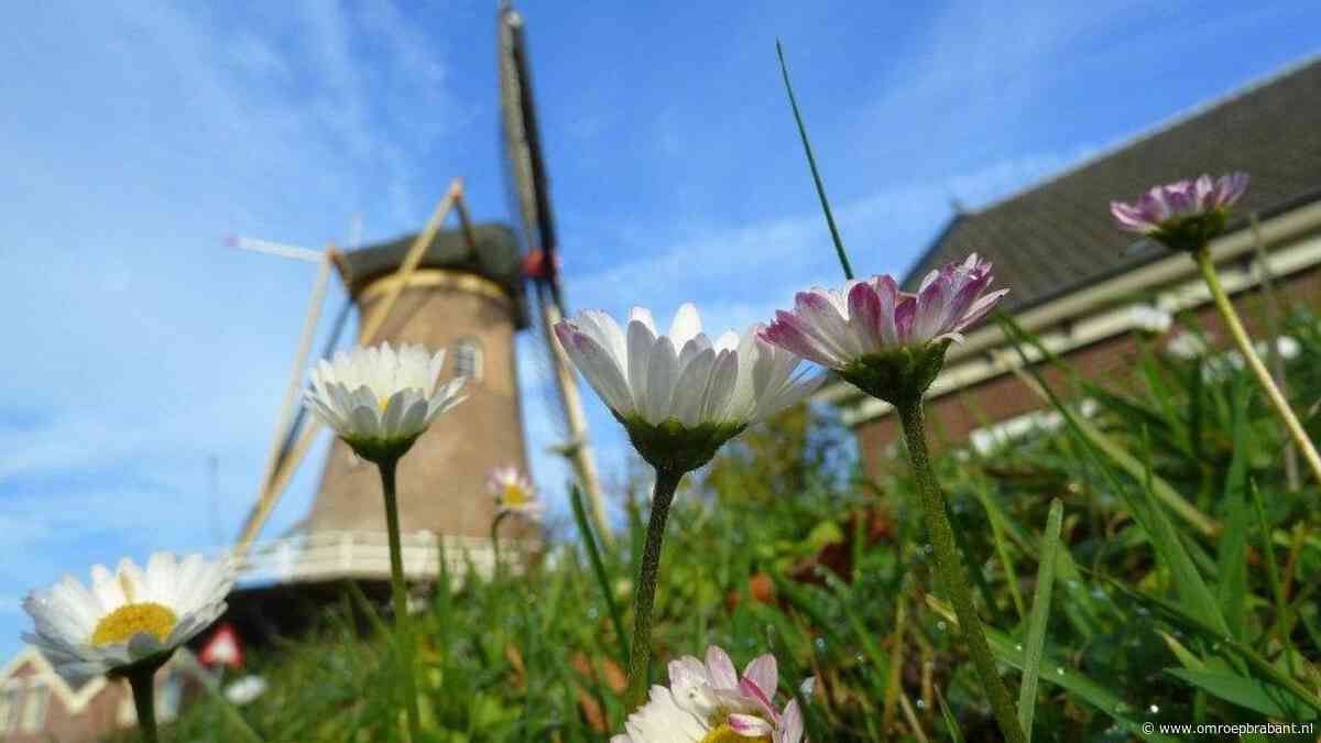 Zomers einde van september: tot 27 graden, daarna blijft het zacht