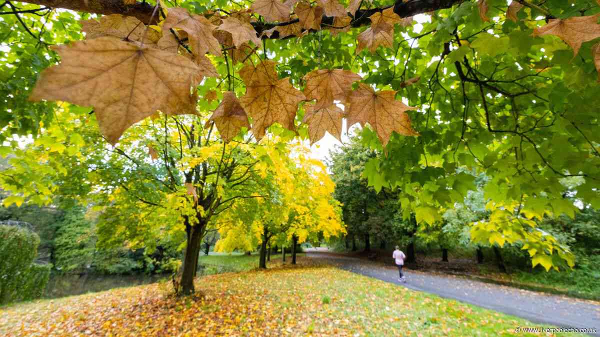 BBC Weather issues October verdict with 'warmer than average' forecast