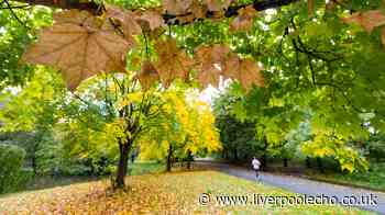 BBC Weather issues October verdict with 'warmer than average' forecast