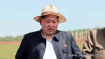 Lobster and steak-loving Kim Jong-un is 'extremely obese' after ballooning to 310lbs and at 'high risk of cardiovascular disease', spies in Seoul reveal