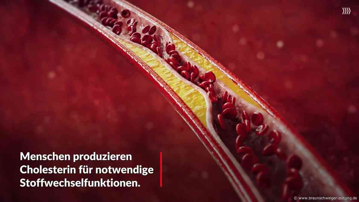 Cholesterin: Kardiologe warnt vor familiärer Hypercholesterinämie