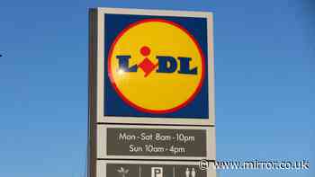 New Lidl £13 autumn gilet looks similar to Next's £275 version coming out Sunday