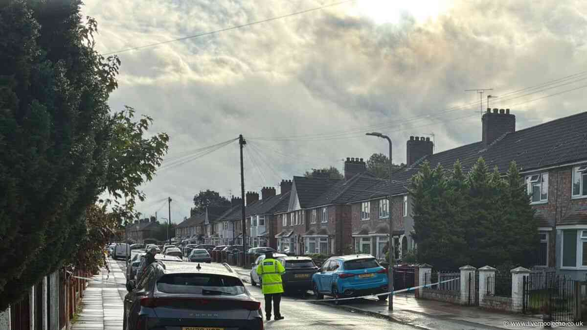 Road cordoned off due to police incident - updates