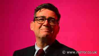 Should Britain rejoin the EU after Andy Burnham hints at Brexit reversal?
