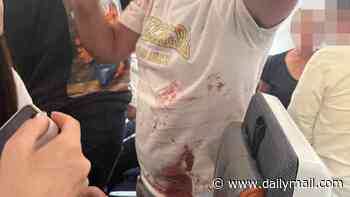 Passenger 'is seen covered in blood' after pilots' mid-air brawl forces flight to Israel to divert, sparking hijack fears